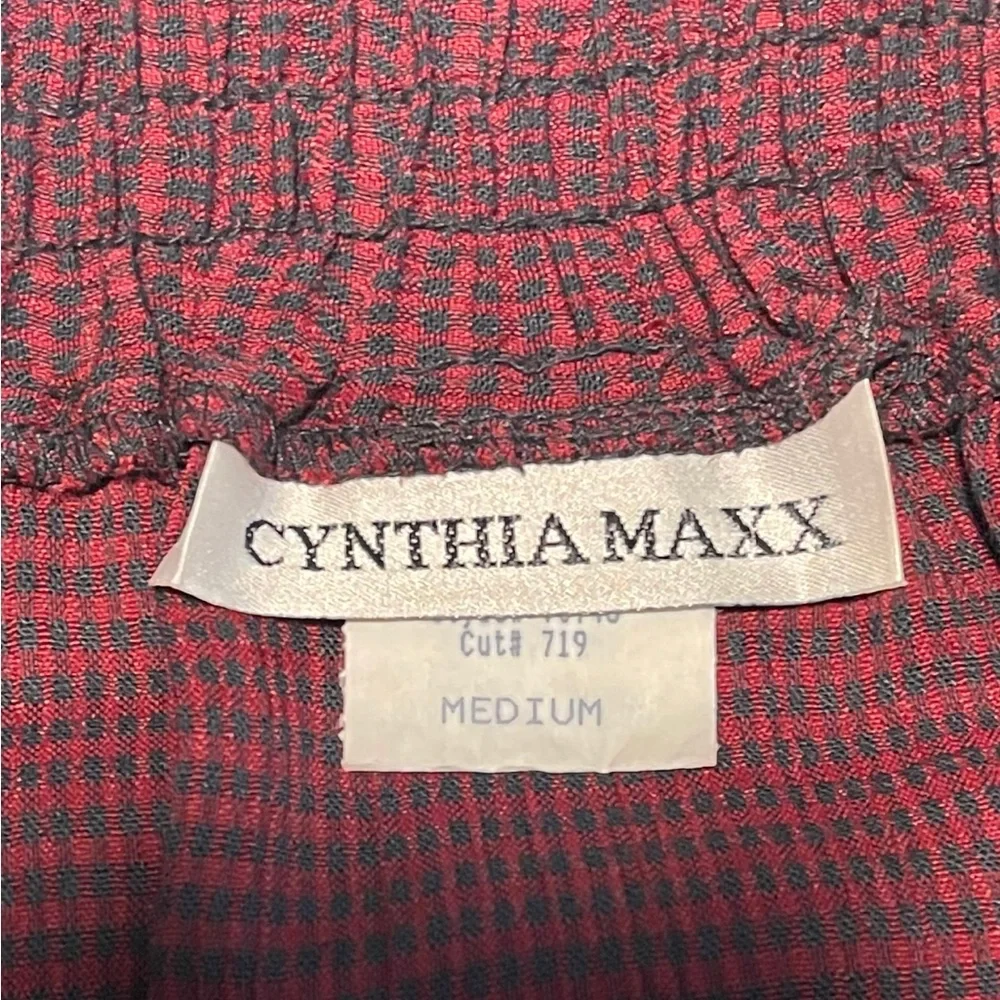 Vtg Cynthia Maxx Red Gingham Plaid Button Front Maxi Skirt Medium Academia USA